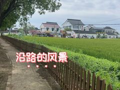 -小陆莲花蟹园农家乐(莲花岛店)
