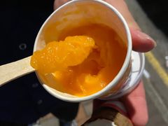 -富豪雪糕车流动点(尖沙咀店)