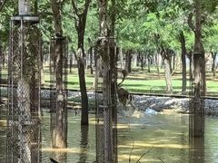 -秦皇岛野生动物园