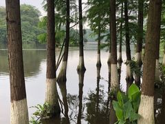 -重庆彩云湖湿地公园
