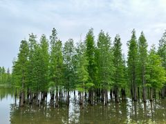 -白鹭湾湿地公园