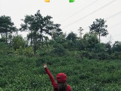 -汤山温泉房车营地 茶温泉