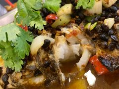 -鱼乐乐(Happy Fish)