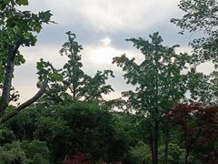 -吴淞炮台湾湿地森林公园烧烤区