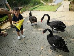 -长兴太湖图影湿地文化园