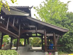 -活水公园