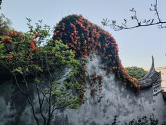 -乌山风景区