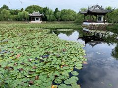 -无锡蠡湖国家湿地公园-蠡园
