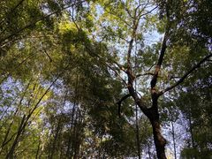 -敬亭山风景名胜区