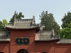 -洛阳白马寺