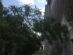 -张家港凤凰山景区恬庄古街