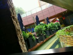 -bluefrog蓝蛙(水游城店)