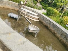 -南宫温泉水世界