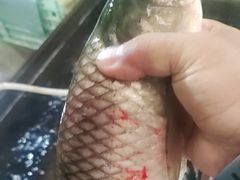 -岳各庄批发市场(西四环中路店)