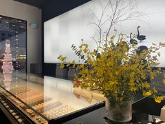 -BLACKSWAN黑天鹅(环球店)
