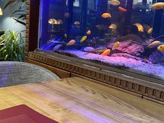 -Golden Lily河内巴黎法越料理餐厅(建国西路店)