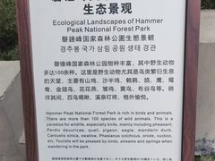 -磬锤峰森林公园