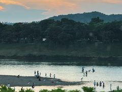 -广州白江湖森林公园