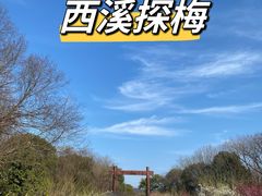 -西溪国家湿地公园