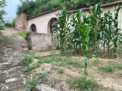 -延安杨家岭革命旧址