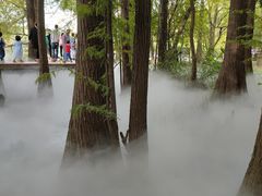 -东湖落雁景区