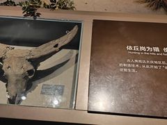 -大庆市博物馆