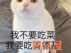 -熊仔屋(吉祥苑小区店)