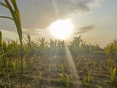 -汉长安城未央宫国家考古遗址公园