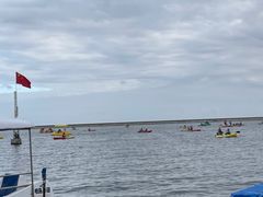 -碧海金沙