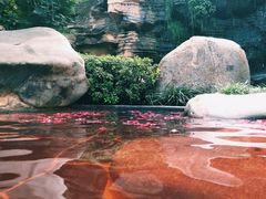 -七彩云南古滇温泉山庄