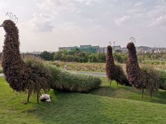 -光明小镇欢乐田园