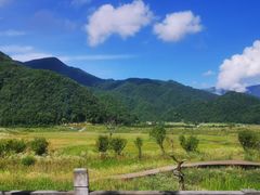 -大九湖