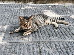 -宝通禅寺