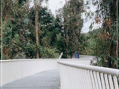 -昆明市金殿名胜区