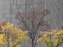-中山公园