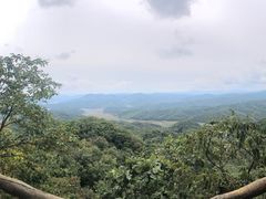 -天女山森林公园