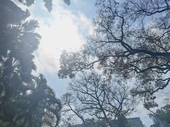 -九龙公园