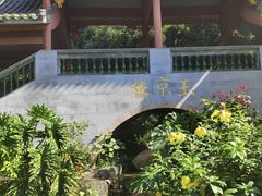 -广州神农草堂中医药博物馆