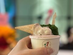 -鹤茶野所(上海首店)