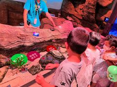 -沈阳海洋探索中心