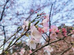 -上海植物园-4号门售票处