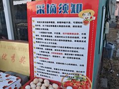 -大自然农场蔬菜草莓采摘园