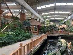 -南宫五洲植物乐园