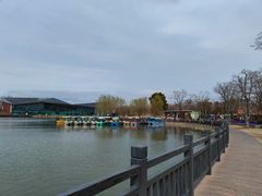 -上海长兴岛郊野公园