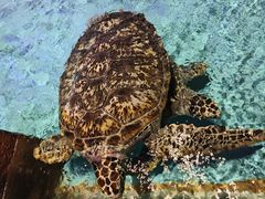 -波塞冬旅游度假区