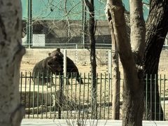 -秦皇岛野生动物园