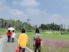 -白鹭湾湿地公园