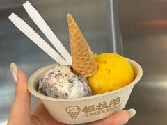 -极拉图·现制冰淇淋(大卫城店)