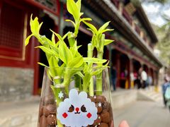 -潭柘寺景区