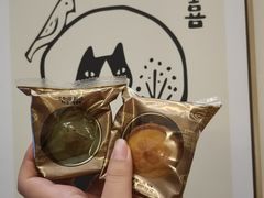 -Catmate·猫肥家润(金润铂宫店)